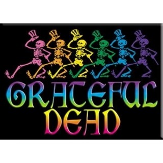 Grateful Dead Dancing Skeletons LARGE Magnet