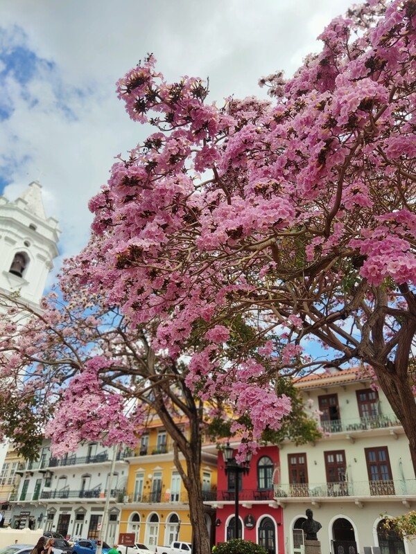 Tours guiado en Casco Antiguo