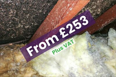 Asbestos Management Surveys