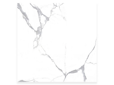 24''x24'' | BZ_2895, Porcelain Gloss, Wall &amp; Floor Tiles, Marble Effect, White, Grey Tones