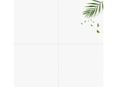 24" x 24" | Matte Wall &amp; Floor Tiles: White