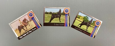 3x WGC Special Edition Foil Trading Cards