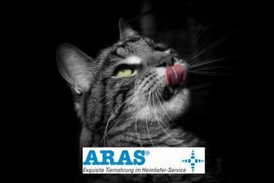 ARAS-Tiernahrung - Katze