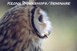Anmeldung - Workshops/Seminare