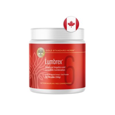 Large Flavored Lumbrex 250g