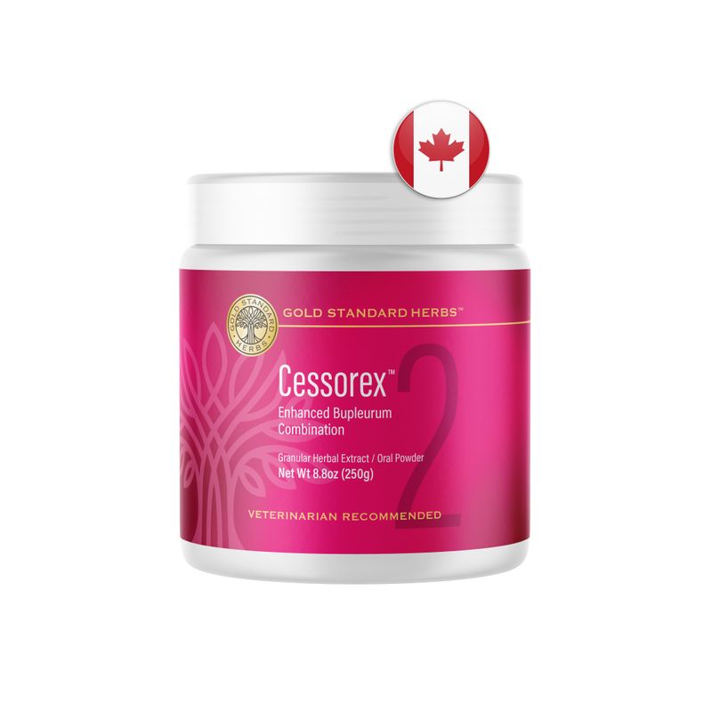 Large Flavored Cessorex 250g