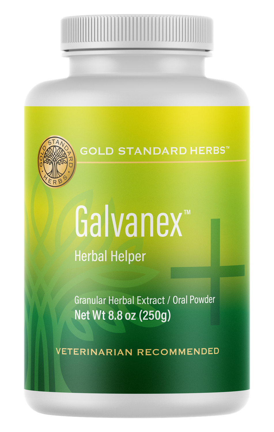 Large Flavored Galvanex 250g