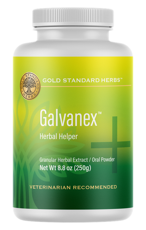 Large Flavored Galvanex 250g