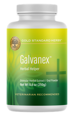 Large Flavored Galvanex 250g