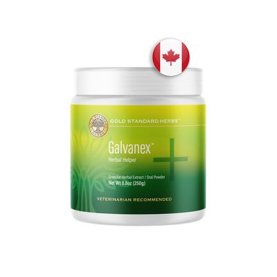 Large Flavored Galvanex 250g
