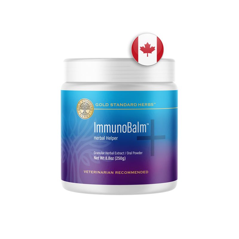 Large Flavored ImmunoBalm 250g