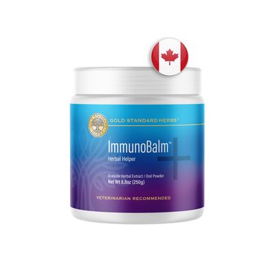 Large Flavored ImmunoBalm 250g