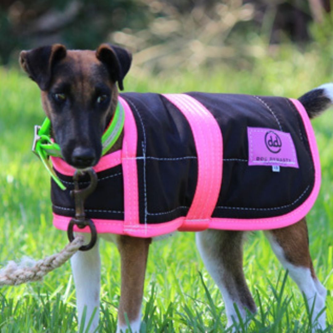 Winter Dog Coats - Oil Skin ($49 to $189)