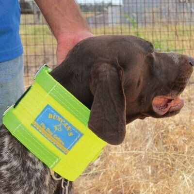 Neck Collar