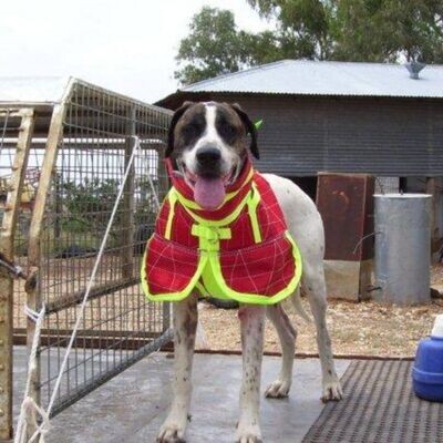 Full Body Collar with Shoulder Flaps