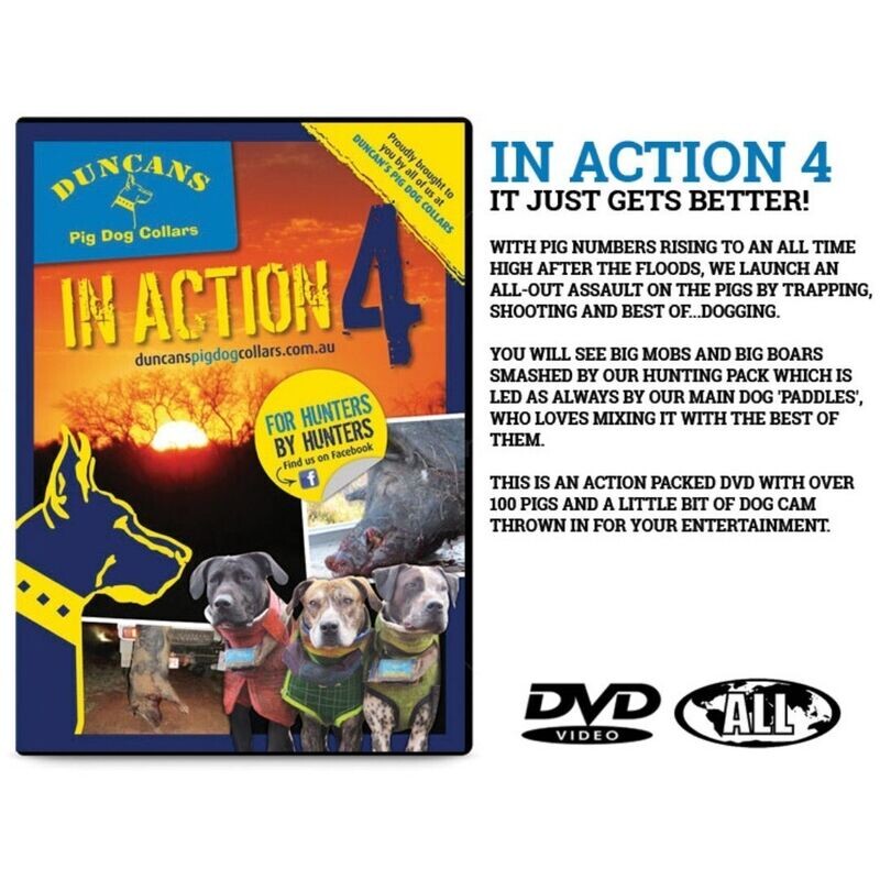In Action 4 DVD