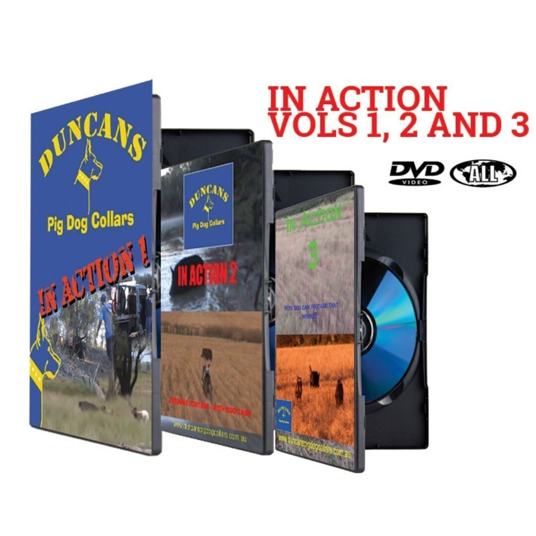 In Action  1, 2 & 3 DVD Value Pack