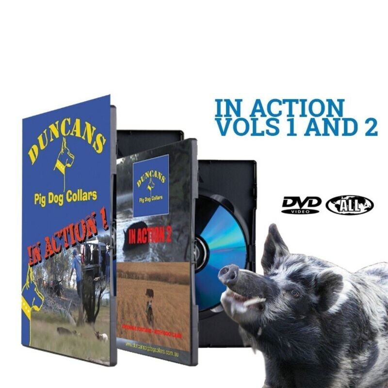 In Action 1 & 2 DVD Value Pack