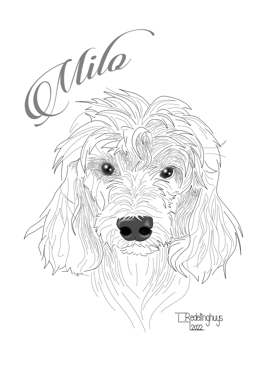 Custom Line drawings