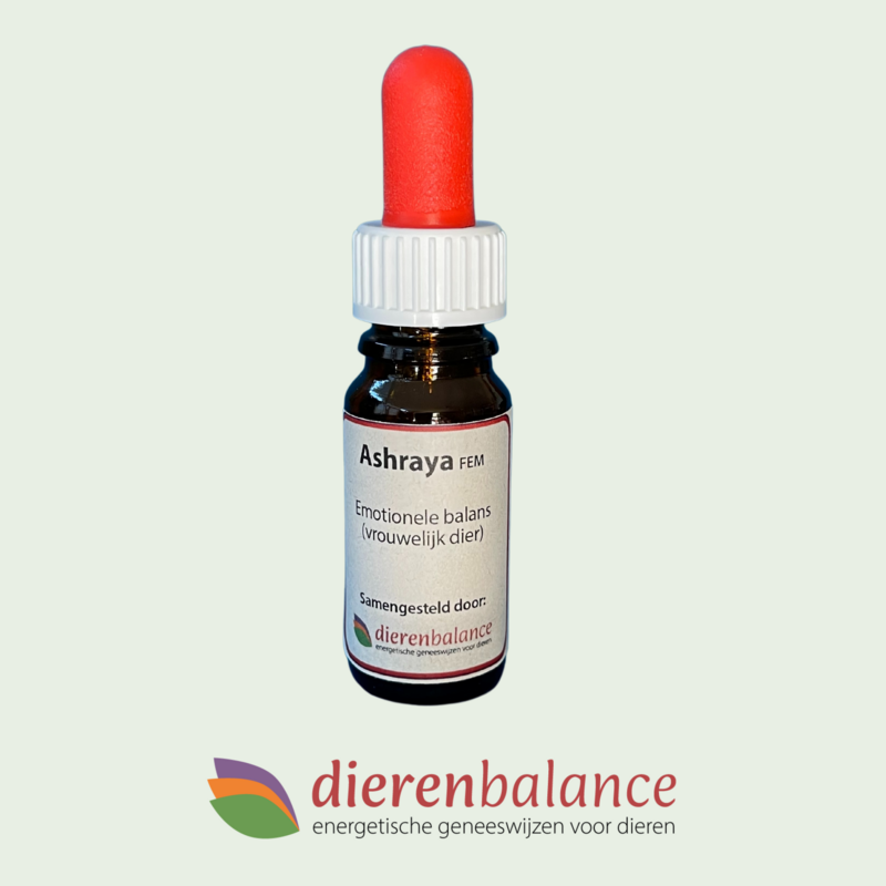 Ashraya FEM