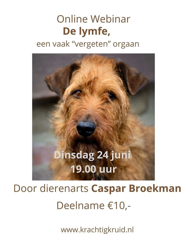 Online Webinar  voor professionals &quot;Lymfe, een vaak &quot;vergeten&quot; orgaan&quot;, 24 juni 2025