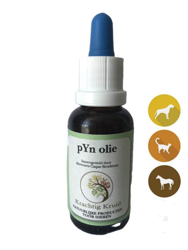 pYn olie