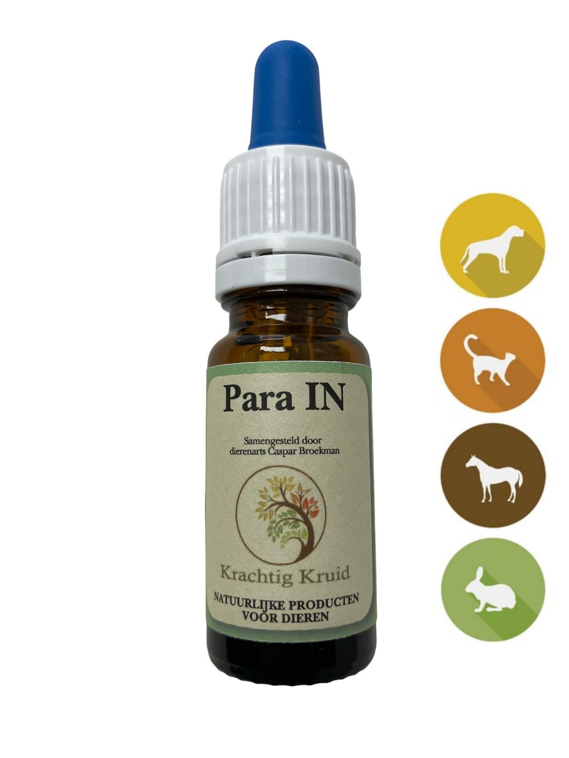 Para IN