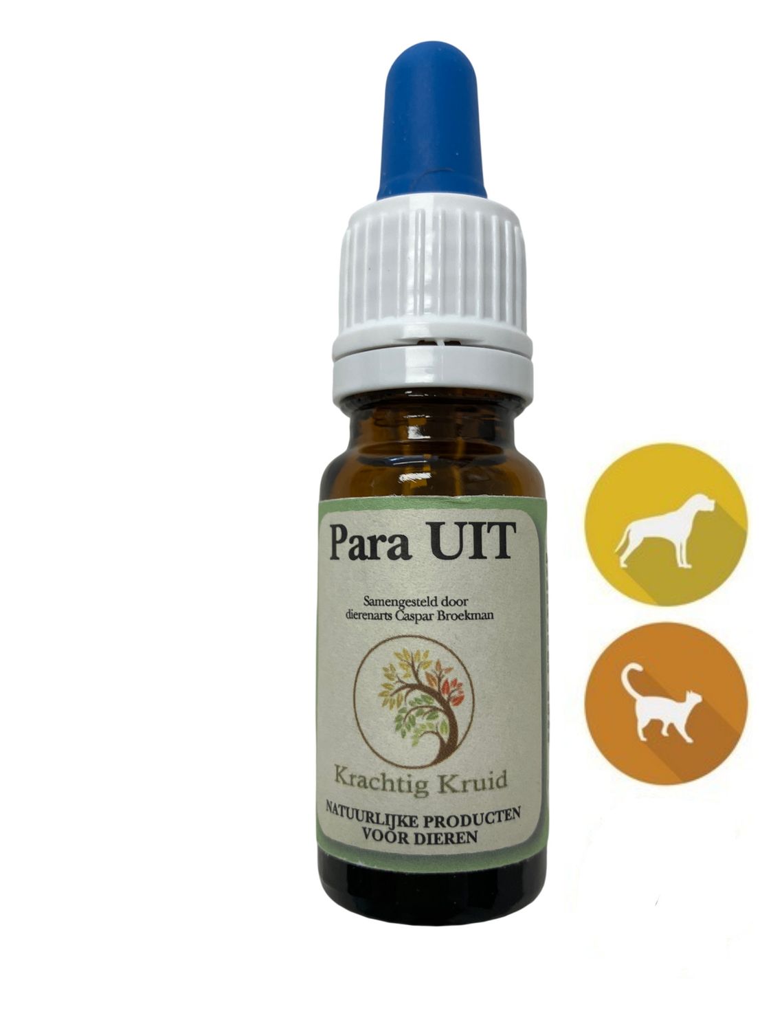 Para UIT