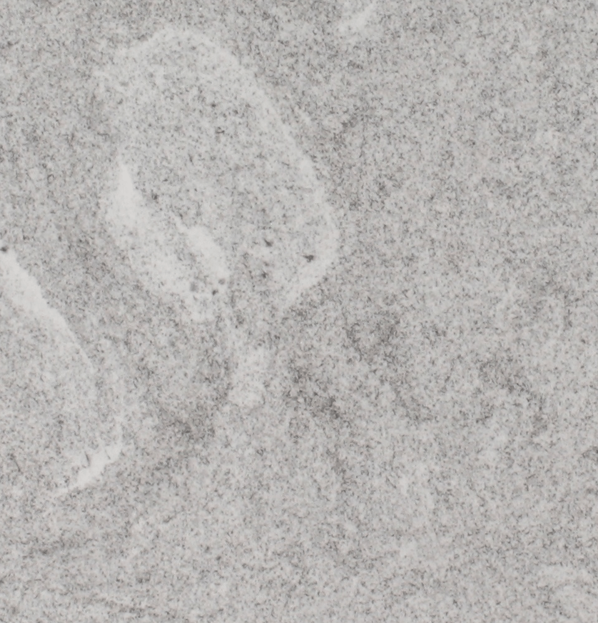 Elegant White - Granite Level 1