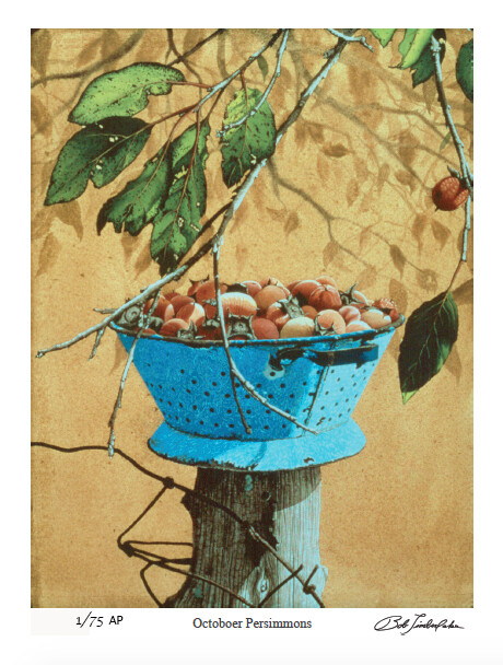 October Persimmons Artist Proof Offset Lithograph