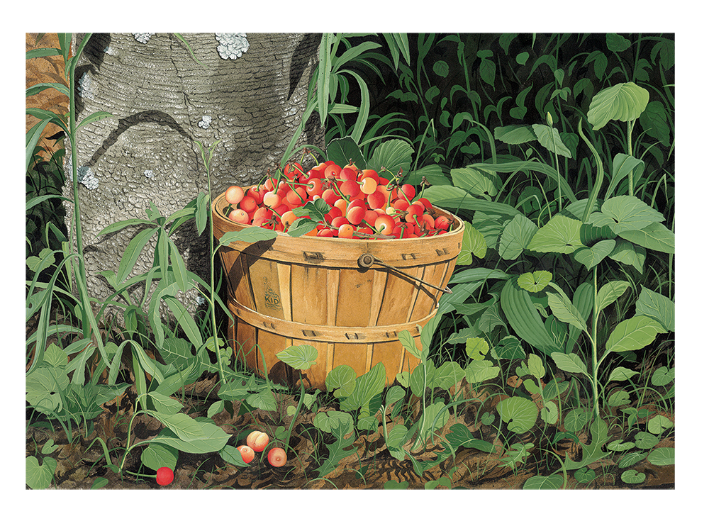 Dan&#39;s Cherries - Designer Edition (Sublimation Printing on Aluminum)