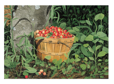 Dan&#39;s Cherries - Limited Edition Giclées (Unframed)