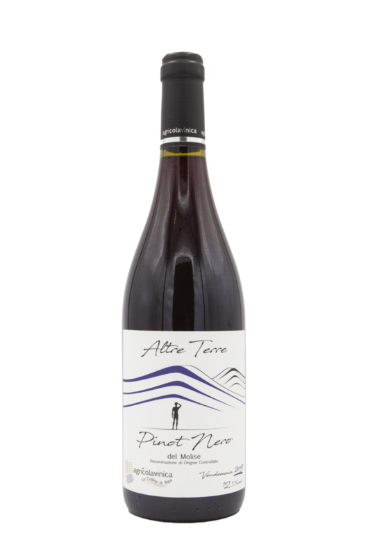 VINICA PINOT NERO LAME DEL SORBO DOC 2017 CL 75