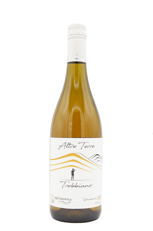 VINICA TREBBIANO LAME DEL SORBO IGT 2019 CL 75