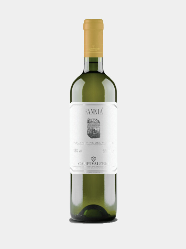 CAMPI VALERIO "FANNIA" FALANGHINA DEL MOLISE DOC CL 75