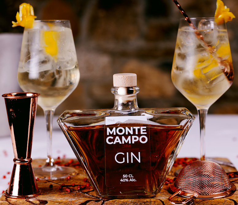 GIN MONTE CAMPO CL 50 ALC. 40%