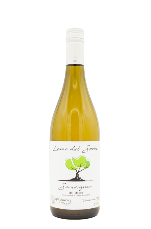 VINICA SAUVIGNON LAME DEL SORBO DOC 2019 CL 75