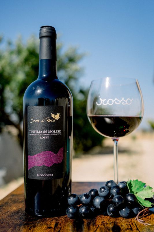 SERRA DEL PARCO TINTILIA DEL MOLISE 2022 DOP BIO 13,5% CL 75