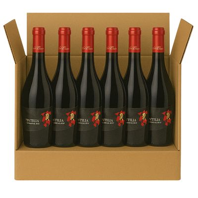 CATABBO TINTILIA DEL MOLISE "S" DOC CL 75 - CONFEZIONE 6 BOTTIGLIE