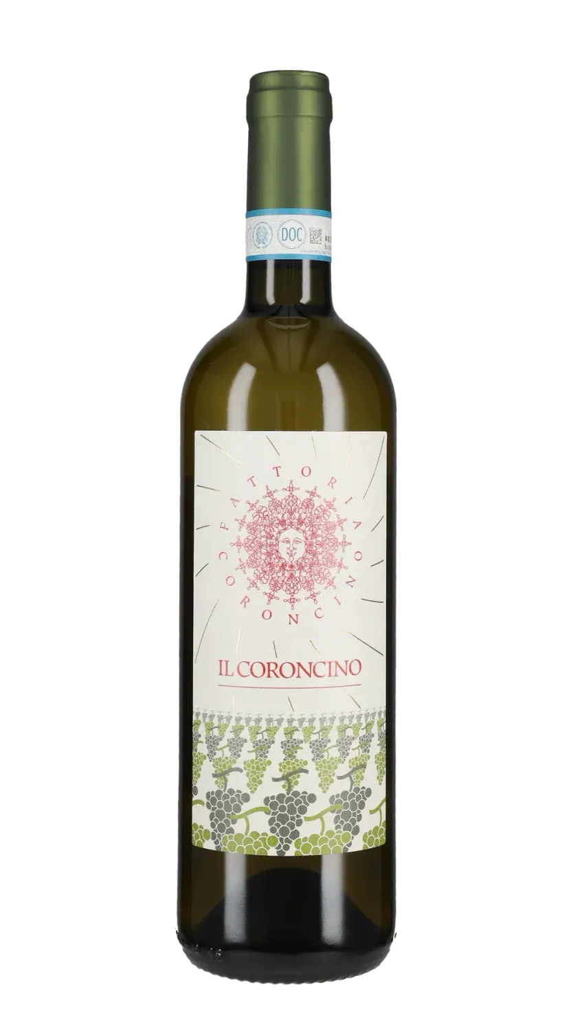 FATTORIA CORONCINO - VERDICCHIO DEI CASTELLI DI JESI CLASSICO SUPERIORE CL 75 FATTORIA CORONCINO - VERDICCHIO DEI CASTELLI DI JESI CLASSICO SUPERIORE CL 75