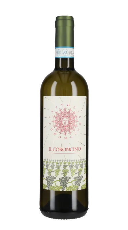 FATTORIA CORONCINO - VERDICCHIO DEI CASTELLI DI JESI CLASSICO SUPERIORE CL 75