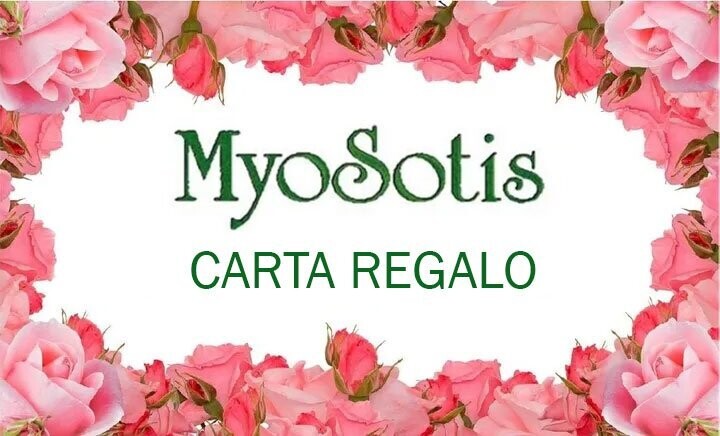 Carta regalo
