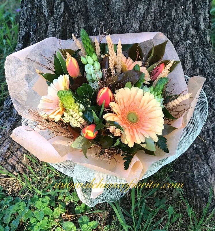Gerbere & co. da 28€ a 70€