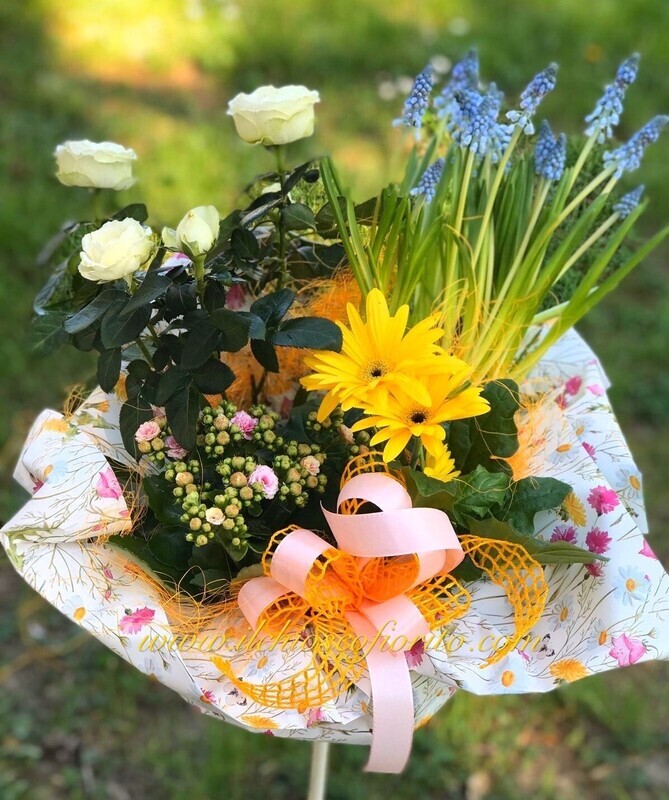 Piante mix da 35€ a 95€