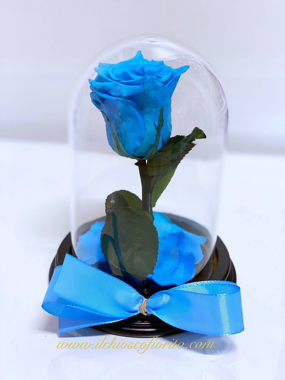 Rosa incantata mini azzurra 35,00€