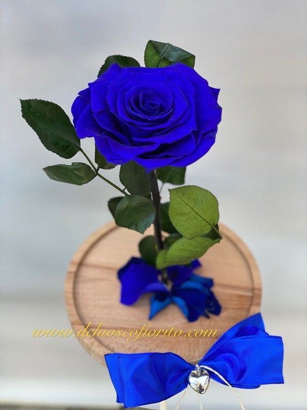 Rosa Incantata grande de “La bella e la bestia”