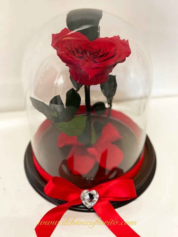 Rosa Incantata "Love Heart"
