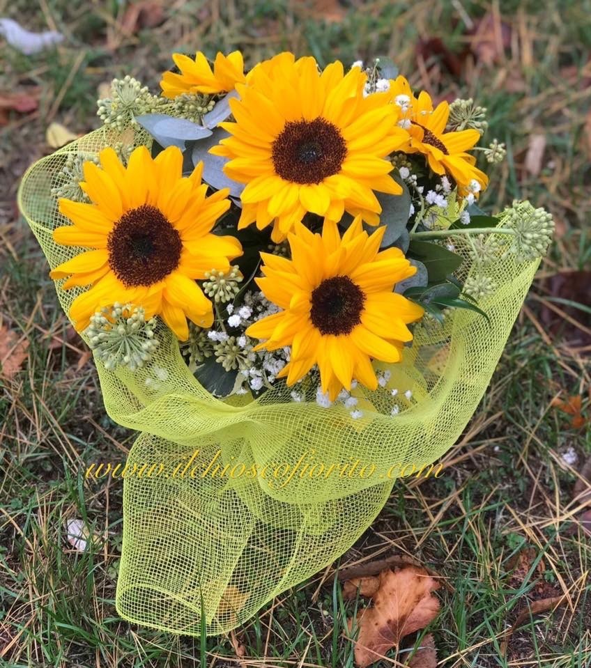 Girasoli che passione da 23€ a 75€