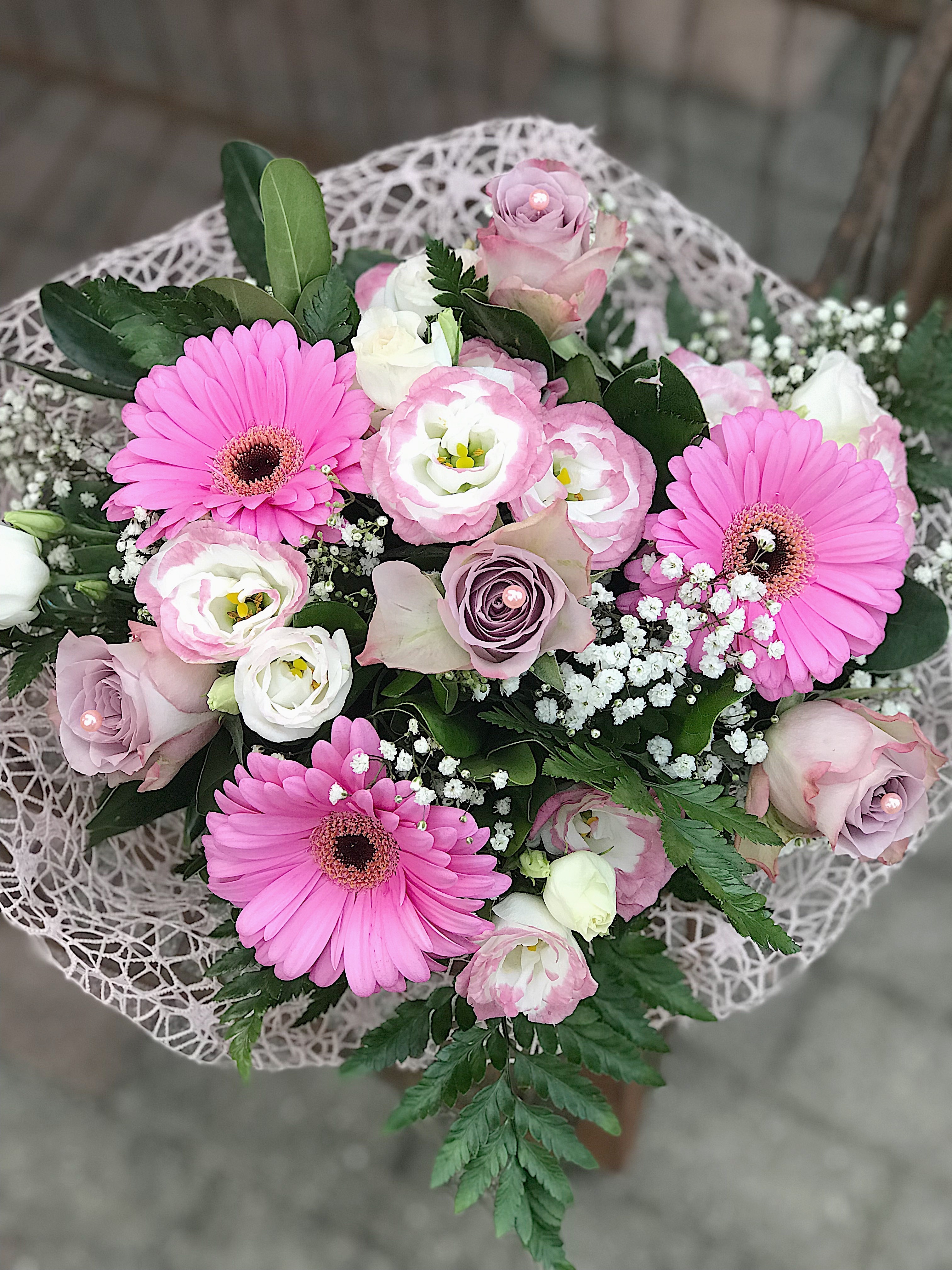 Gerbere & co. da 28€ a 70€