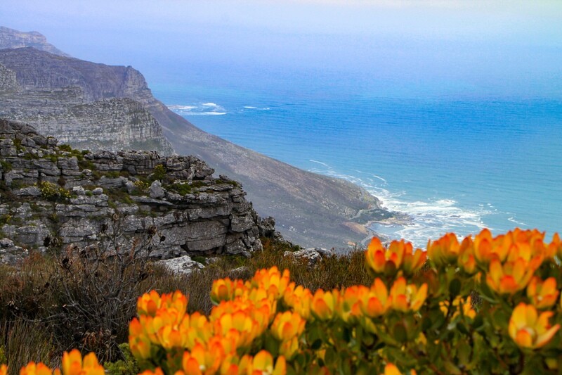 Top of Table Mountain Canvas Print and Lindt Chocolate Truffles